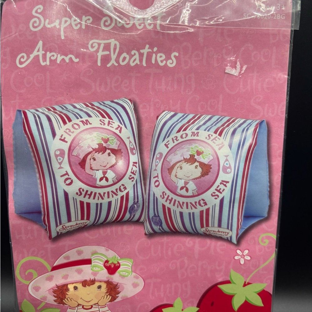 strawberry shortcake pool floatie Water Wings Arm Floats Vintage